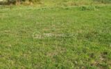 Terrain à vendre à Valpuiseaux — Vue dégagée — photo 1