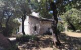 Maison à vendre à La Garde-Adhémar — Vue nature — photo 2