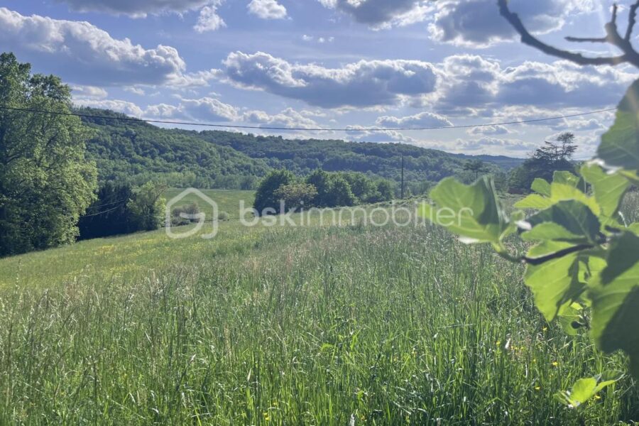 Terrain à vendre à La Bachellerie — Vue nature — photo 1