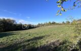 Terrain à vendre à Châtres — Vue nature — photo 2