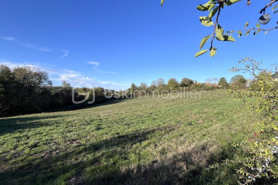 Terrain à vendre à Châtres — Vue nature — photo 2
