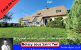 Maison à vendre à Boissy-sous-Saint-Yon — Vue nature — photo 2