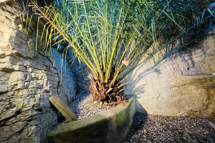 Maison à vendre à Villeneuve-lès-Avignon — Vue nature — photo 10