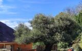 Maison à vendre à Orthez — Vue nature — photo 10