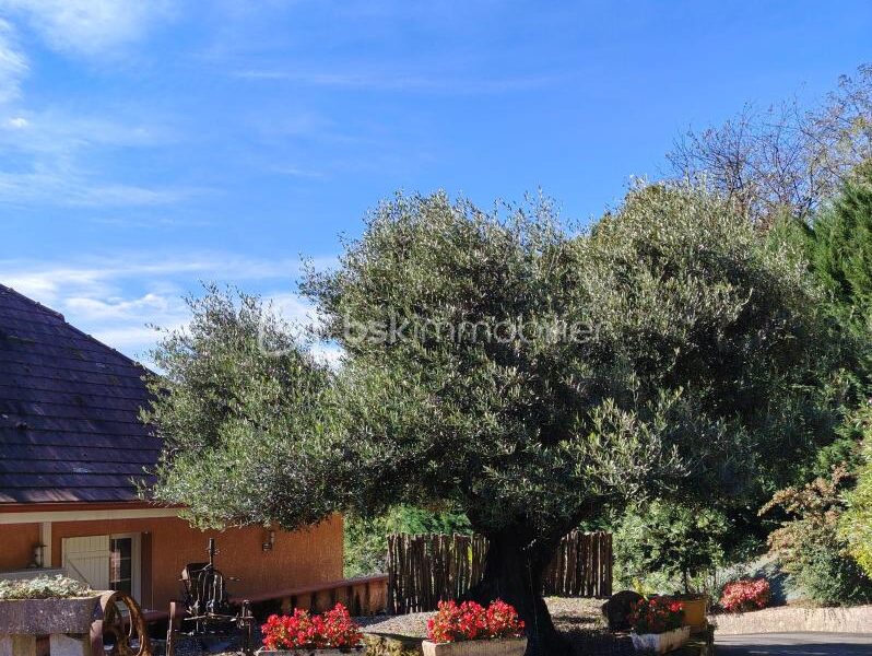 Maison à vendre à Orthez — Vue nature — photo 10