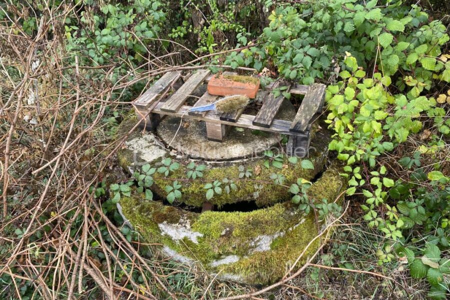 Terrain à vendre à Saint-Léger-Vauban — Vue nature — photo 10