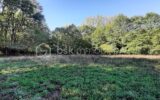 Terrain à vendre à Chaillac-sur-Vienne — Vue lac — photo 10