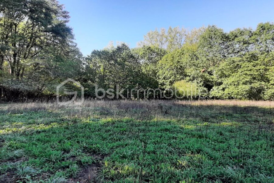 Terrain à vendre à Chaillac-sur-Vienne — Vue lac — photo 10