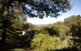 Maison à vendre à Loubressac — Vue nature — photo 10