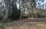 Maison à vendre à Gujan-Mestras — Vue nature — photo 4