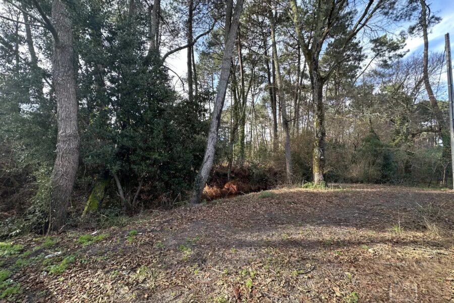 Maison à vendre à Gujan-Mestras — Vue nature — photo 4
