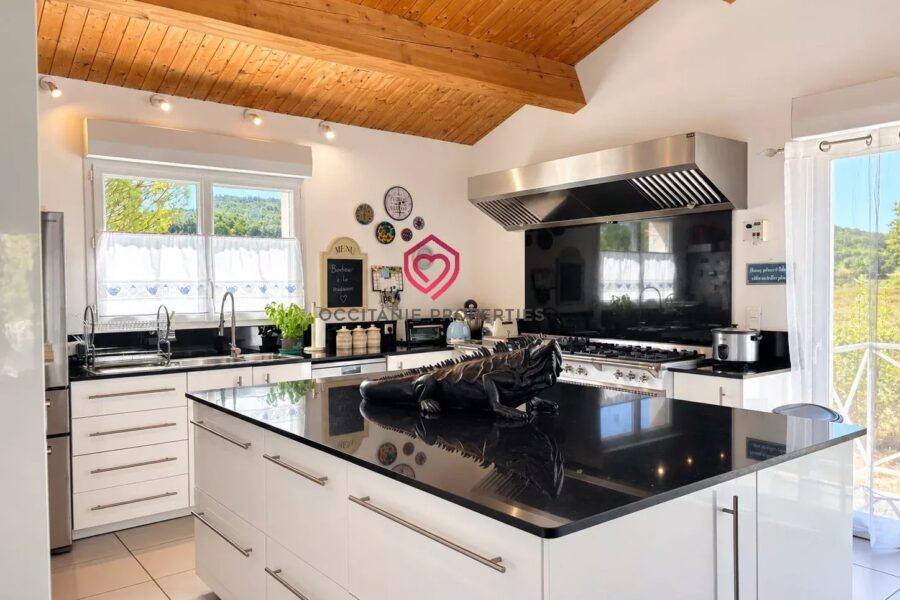 Maison à vendre à Belvèze-du-Razès — Vue parc & jardin — photo 5