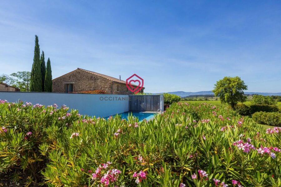 Maison à vendre à Rieux-Minervois — Vue montagne — photo 35