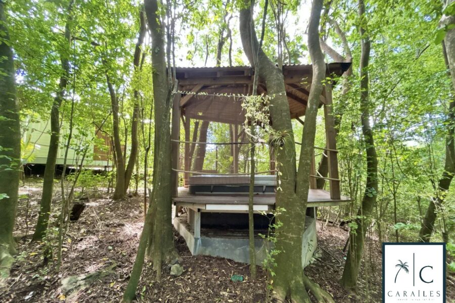Maison à vendre à Deshaies — Vue mer — photo 33