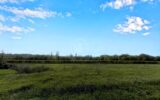 Maison à vendre à Puisseguin — Vue nature — photo 1