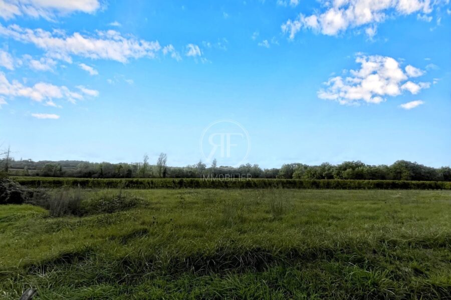 Maison à vendre à Puisseguin — Vue nature — photo 1