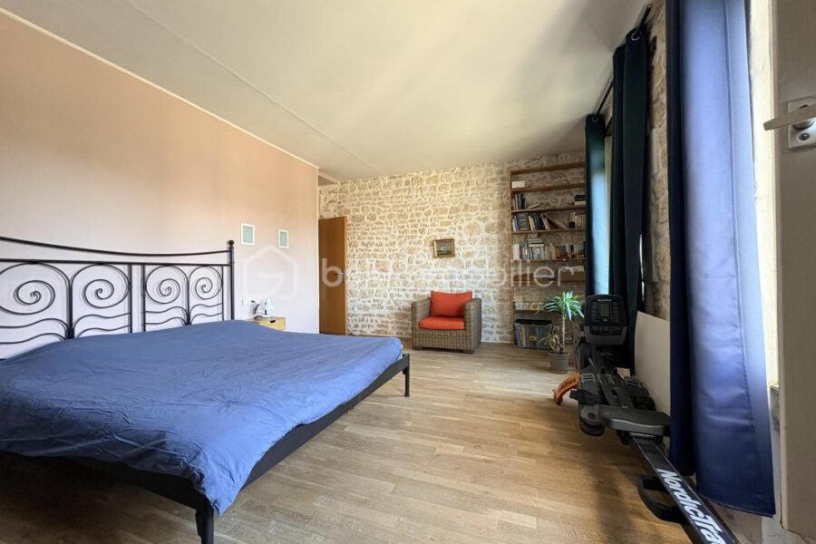Maison à vendre à Meursac — Vue vignes — photo 12