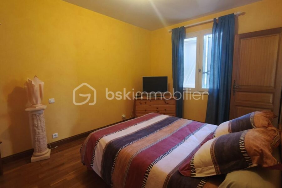 Maison à vendre à Encausse-les-Thermes — Vue montagne — photo 11