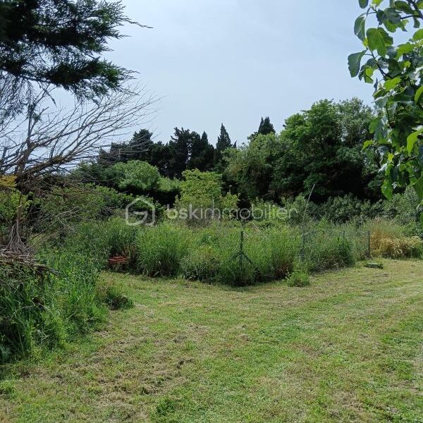 Terrain à vendre à Canet-en-Roussillon — photo 11