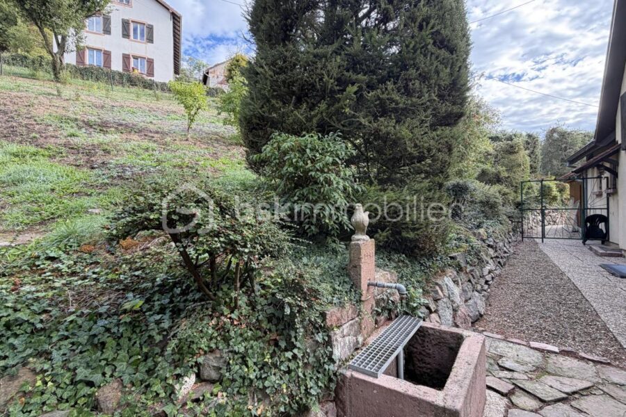 Maison à vendre à Sainte-Marie-aux-Mines — Vue nature — photo 11