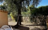 Maison à vendre à Opio — Vue nature — photo 12