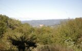 Maison à vendre à Loubressac — Vue nature — photo 11
