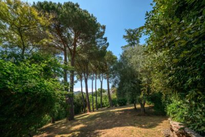 Maison à vendre à Mandelieu-la-Napoule