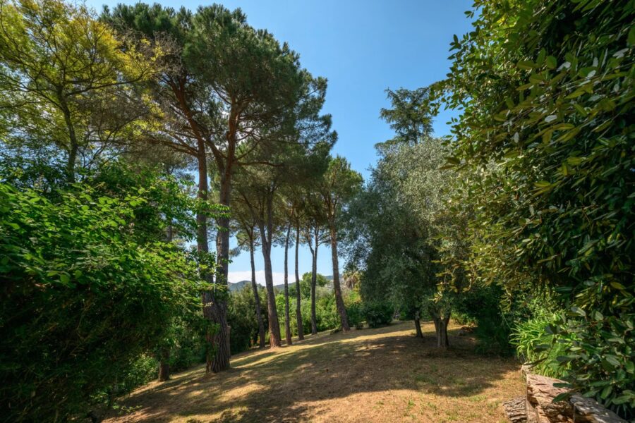 Maison à vendre à Mandelieu-la-Napoule — Vue dégagée — photo 1