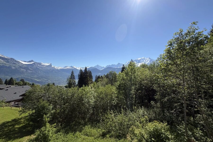 Appartement à vendre à Combloux — Vue montagne — photo 11