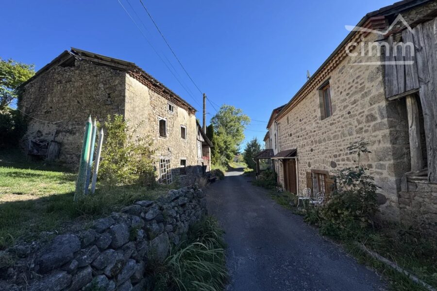 Maison à vendre à La Chapelle-Agnon — Vue montagne — photo 38