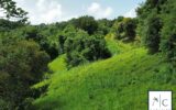 Terrain à vendre à Sainte-Luce — Vue nature — photo 7