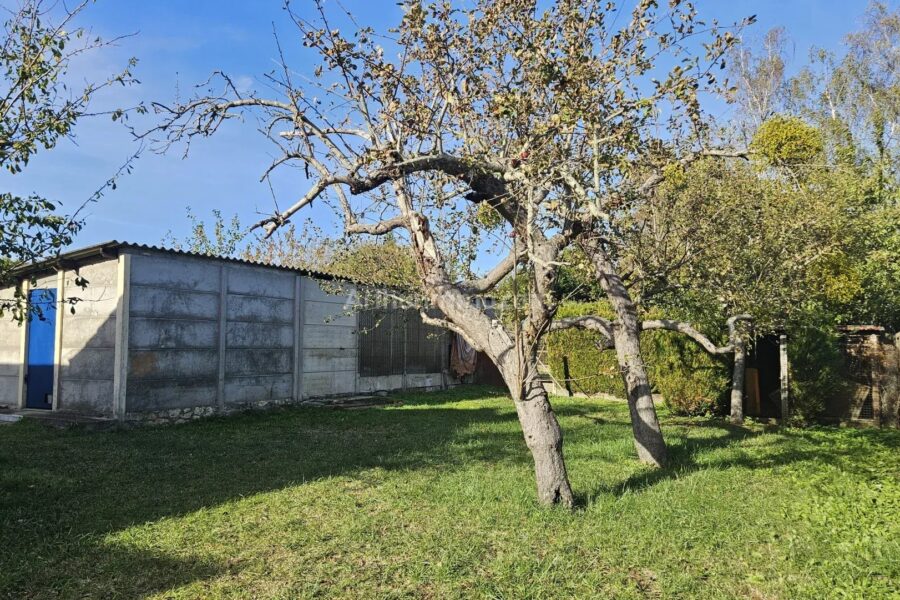 Maison à vendre à Giberville — Vue parc & jardin — photo 56