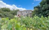 Maison à vendre à Sainte-Radégonde — Vue nature — photo 12