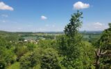 Maison à vendre à Cagnac-les-Mines — Vue nature — photo 1