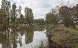 Terrain à vendre à Port-Brillet — Vue fleuve — photo 12