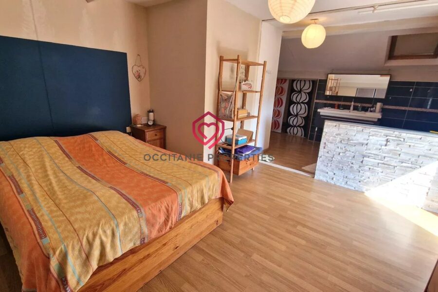 Maison à vendre à Mazères-sur-Salat — Vue montagne — photo 5