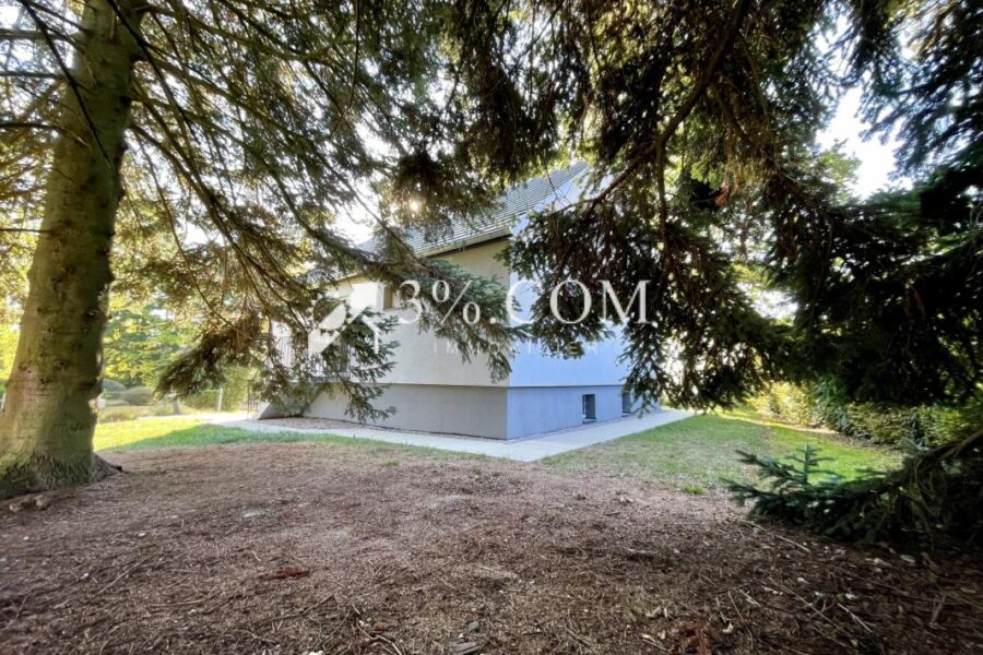 Maison à vendre à Buswiller — Vue nature — photo 13