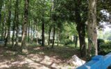 Maison à vendre à Flers — Vue nature — photo 1