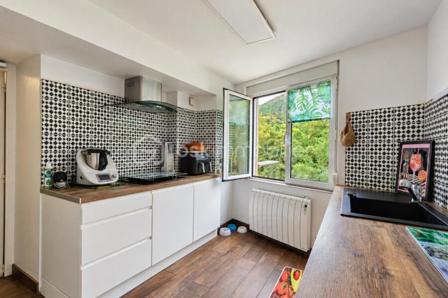 Maison à vendre à Axat — Vue montagne — photo 14