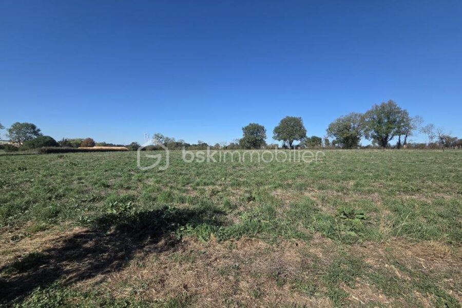 Maison à vendre à Neuvy-Bouin — Vue nature — photo 1