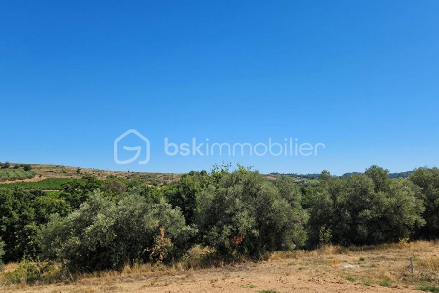 Maison à vendre à Gignac — Vue nature — photo 14