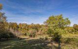 Maison à vendre à Parigny-les-Vaux — Vue nature — photo 1