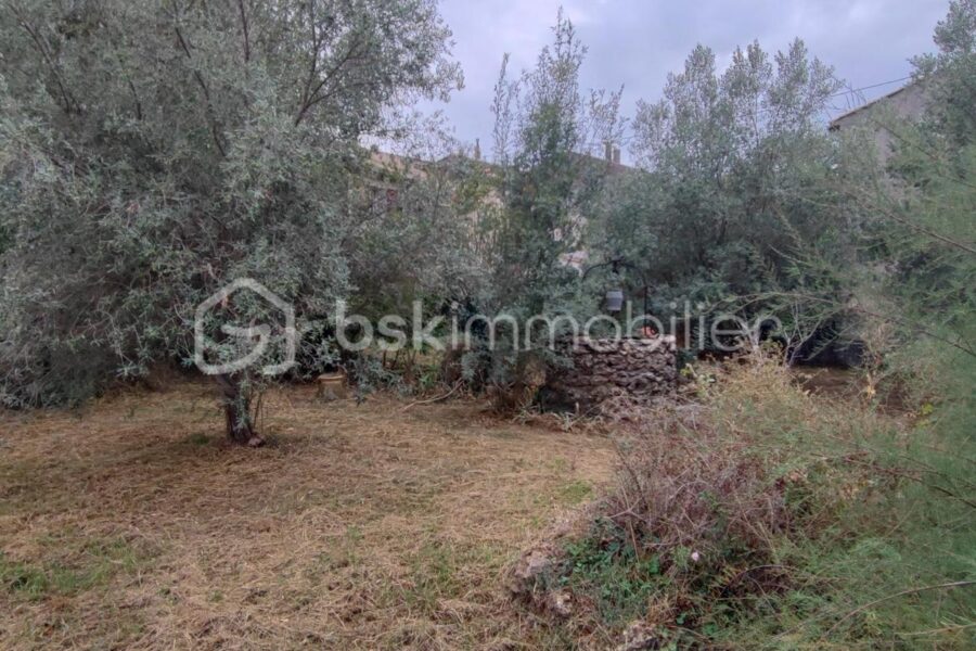 Maison à vendre à Besse-sur-Issole — Vue dégagée — photo 2