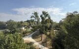 Appartement à vendre à Le Mans — Vue nature — photo 14