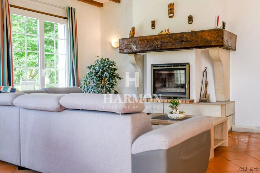 Maison à vendre à Salies-de-Béarn — Vue montagne — photo 6