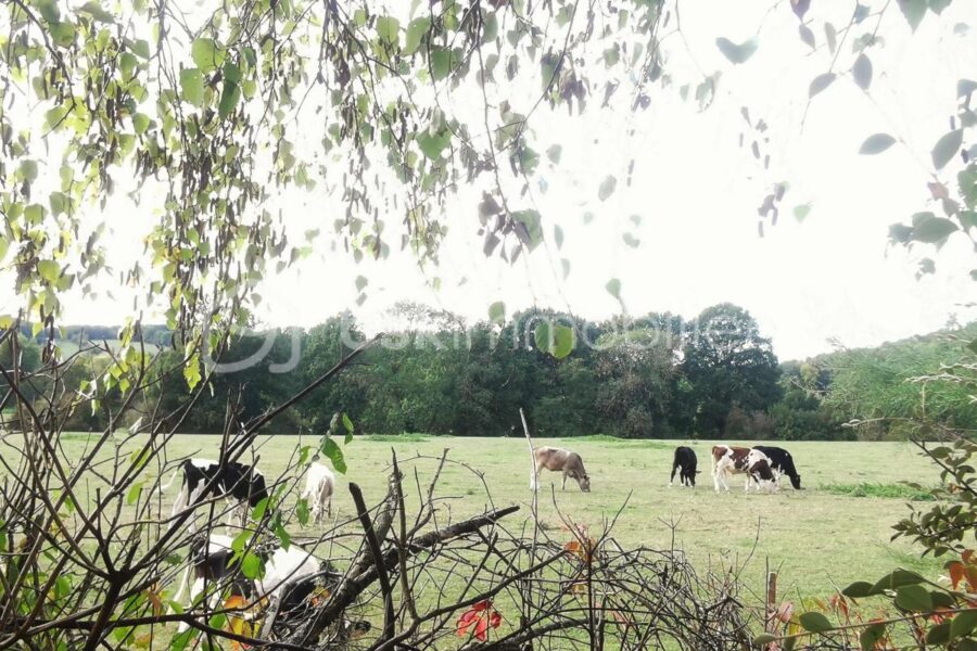 Maison à vendre à Vascœuil — Vue nature — photo 1