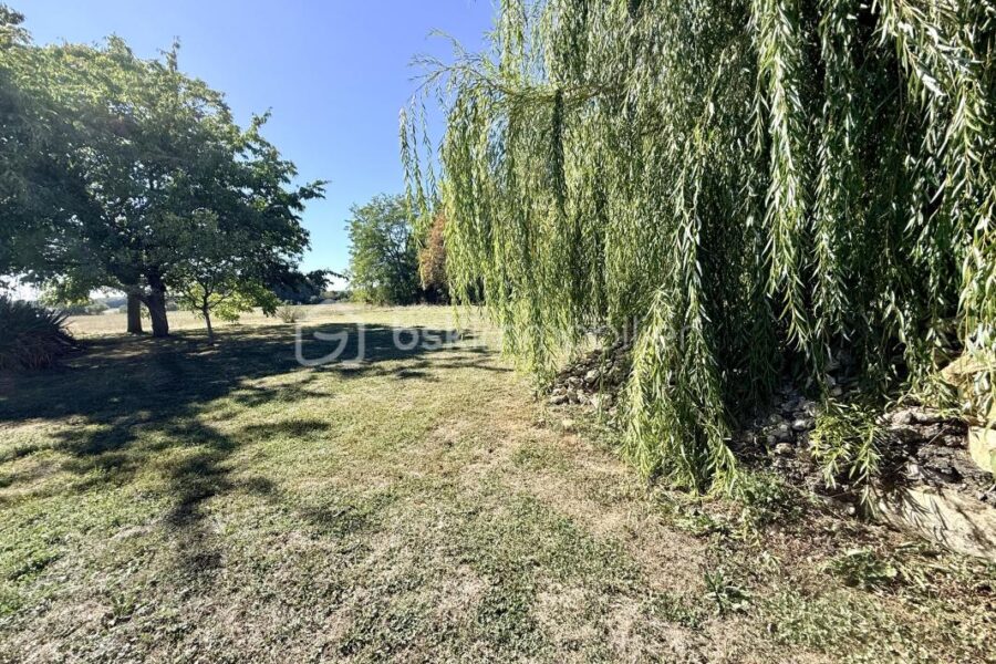 Maison à vendre à Sèvres-Anxaumont — Vue dégagée — photo 2