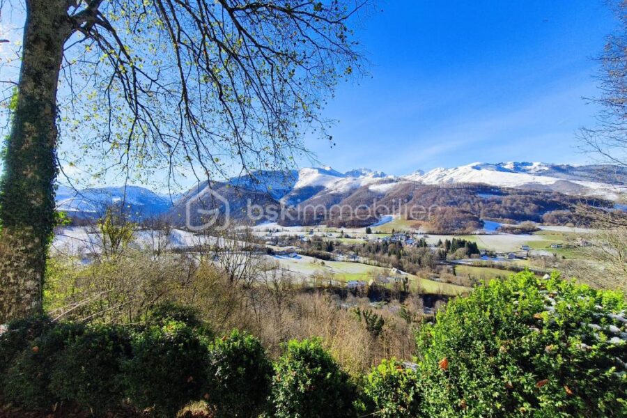 Maison à vendre à Campan — Vue nature — photo 16