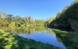 Terrain à vendre à Chaillac-sur-Vienne — Vue lac — photo 16