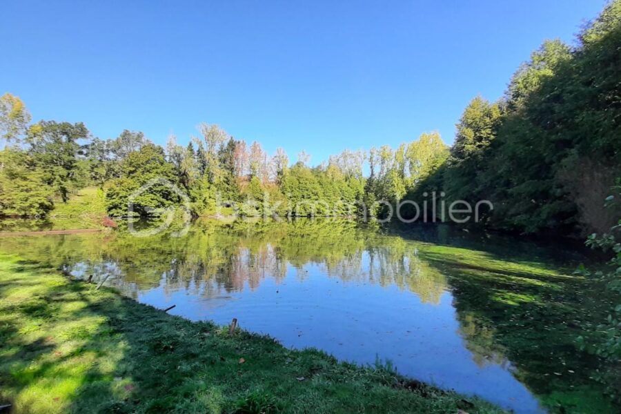 Terrain à vendre à Chaillac-sur-Vienne — Vue lac — photo 16